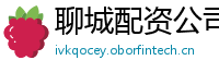 聊城配资公司